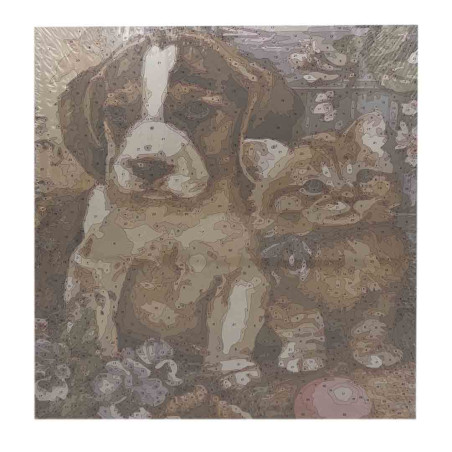 Pictura pe numere cu animale pentru Copii si Adulti: Catel si Pisica