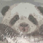 Kit Pictura pe Numere pentru Copii: Ursulet Panda